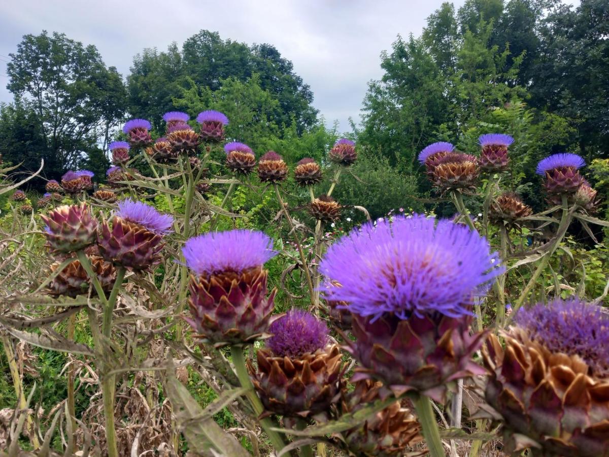 Les Jardins De L'Imaginaire Hotel Monsegur  ภายนอก รูปภาพ